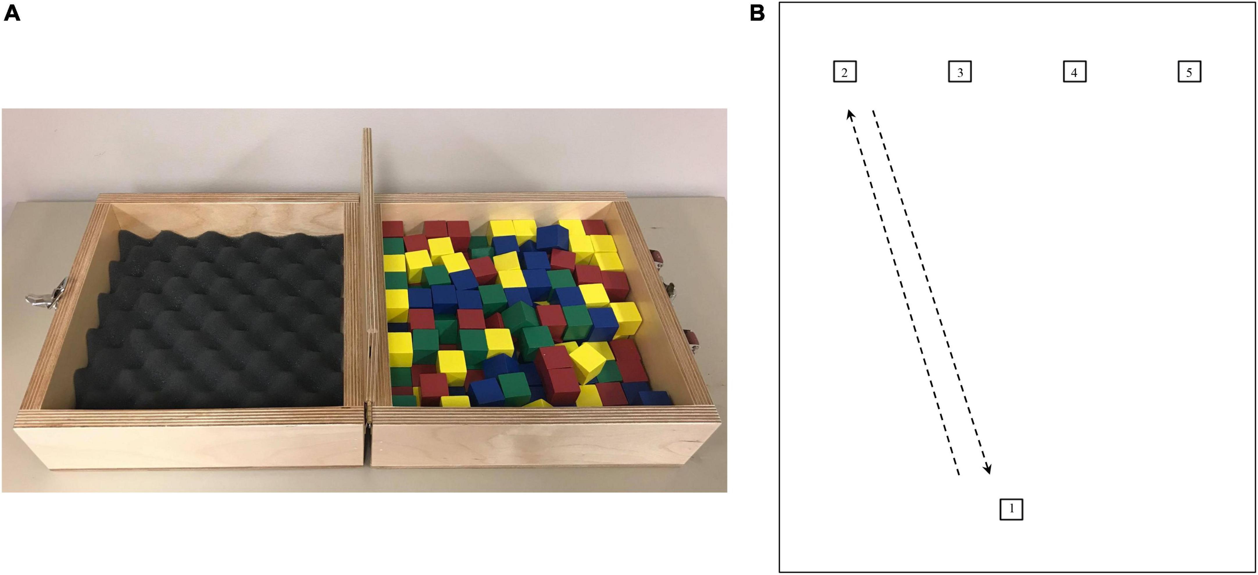 Perception of effort and the allocation of physical resources: A generalization to upper-limb motor tasks